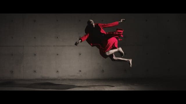 Nederlandse Dansdagen directed by Pascal Baillien