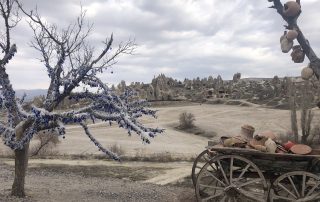 Old wooden cart and tree in dry Göreme valley landscape, Cappadocia