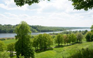 Rolling green hills and scattered trees under bright daylight in Estonian countryside