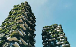Unique overgrown skyscrapers standing against a vibrant sky