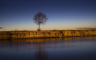Lone tree on horizon reflected in still water at dusk in Tallinn, Estonia
