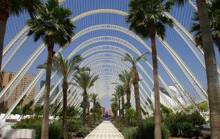 Palm-lined arched walkway at City of Arts and Sciences, Valencia – futuristic urban garden