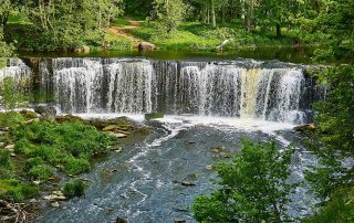 Cascading forest waterfall with lush greenery and mossy rocks